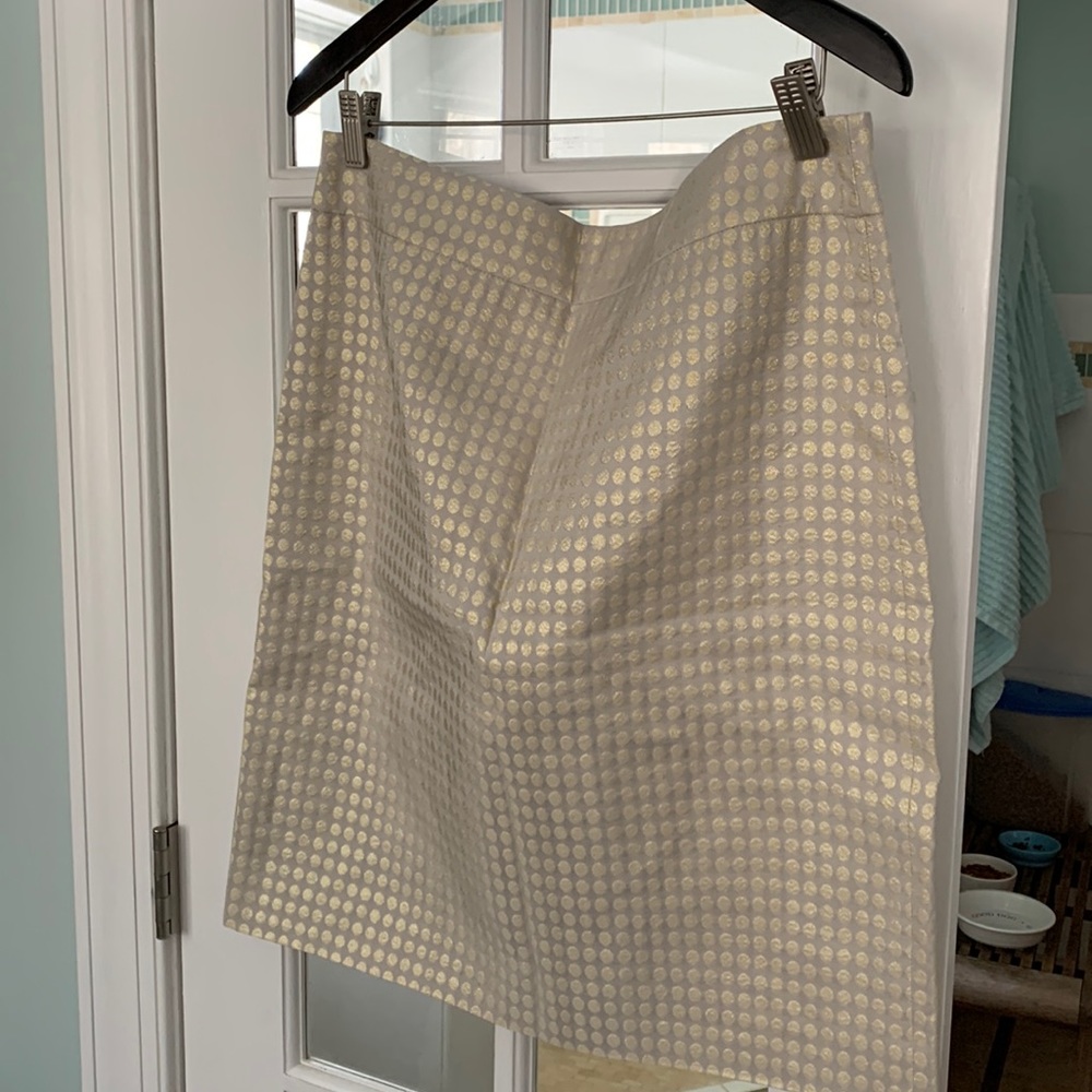 NWT J Crew Factory. Skirt Silver/gold dots. Size 14